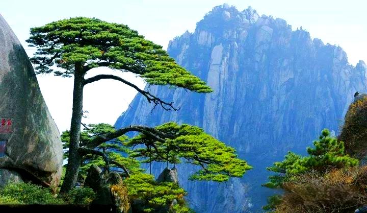 安徽旅游攻略：畅游景点的交通秘籍(图1)