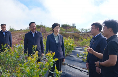 四川：施小琳在凉山州调研时强调 做强特色优势产业 着力保障改善民生 扎实推动民族地区高质量发展